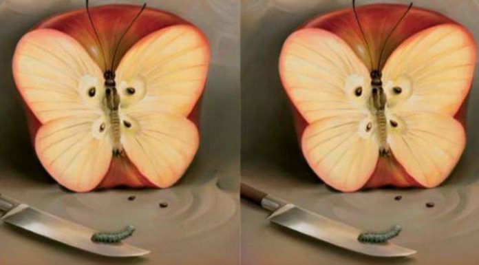 Ta test osebnosti bo razkril vaš skriti strah