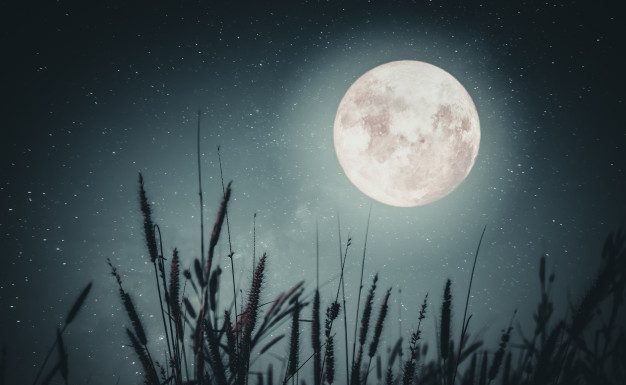 Pozor! 12. 12. bo zadnja polna luna in tega nikar ne počnite
