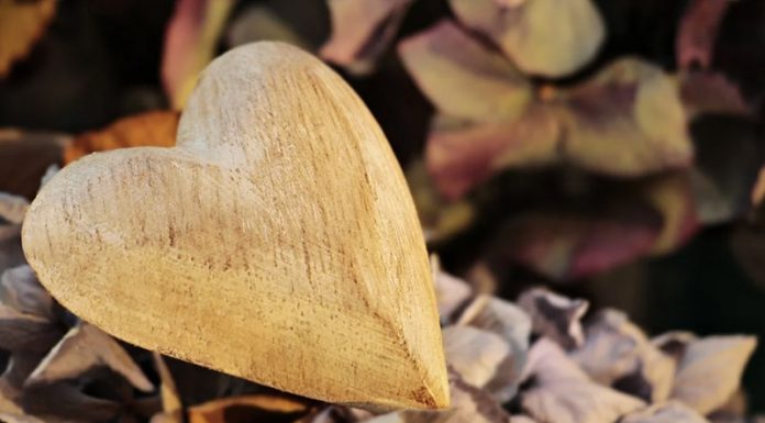 Hvaležnost spremeni strukturo srca in možganov, so dokazali znanstveniki