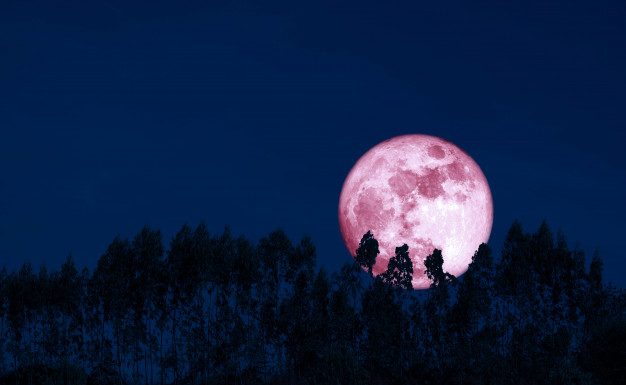 Polna luna (09. 02. 2020) je dobro vplivala na ljudi, rojene v tem znaku