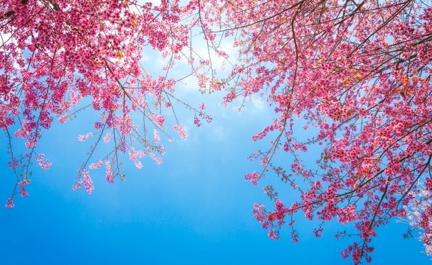 Zanimive lastnosti ljudi, rojenih v aprilu