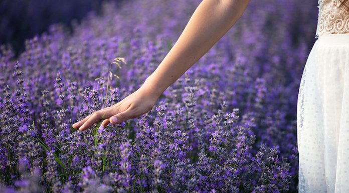 3 najboljša eterična olja za uravnavanje ženskih hormonov