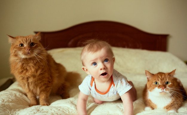 Otroci, ki odraščajo s hišnimi ljubljenčki, so bolj čustveno inteligentni in sočutni