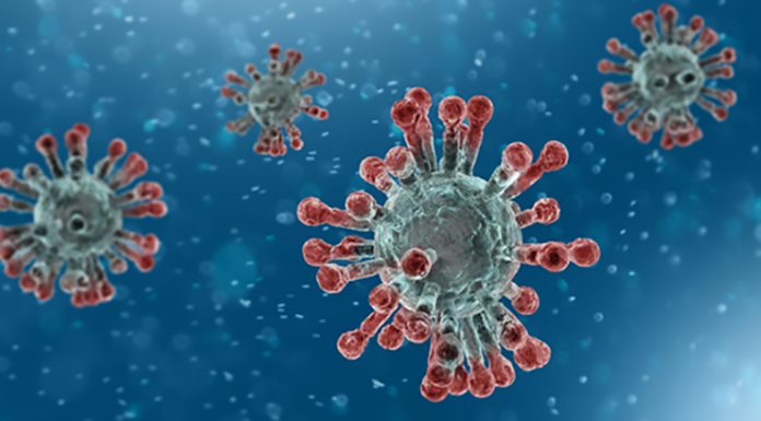 Test za korona virus nezanesljiv: polovica je lažno pozitivnih (+ nekaj prikrivanih dejstev)