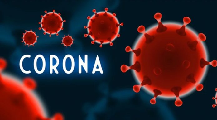 Korona virus: kako okrepiti imunski sistem in se zaščititi