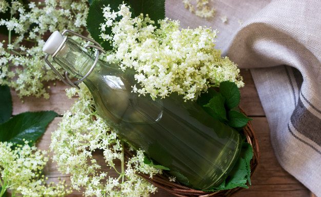 Recept: Bezgov sirup