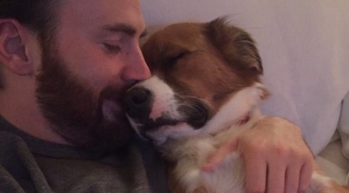 Postavni igralec je rešil psa iz zavetišča in od takrat sta neločljiva