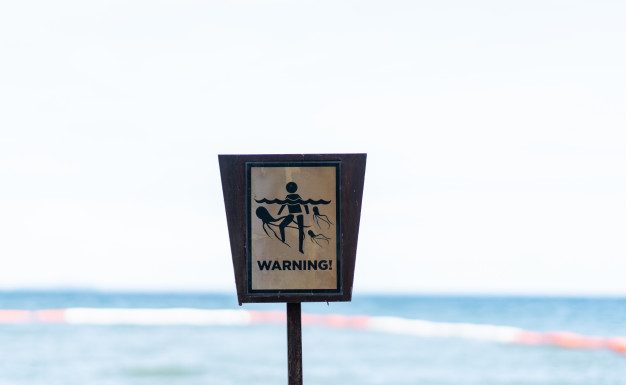 Kako ukrepamo po ožigu meduze?