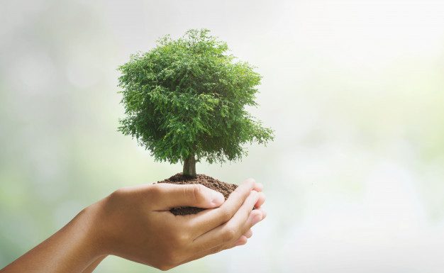 Svetovni dan varstva okolja: poskrbimo za naravo