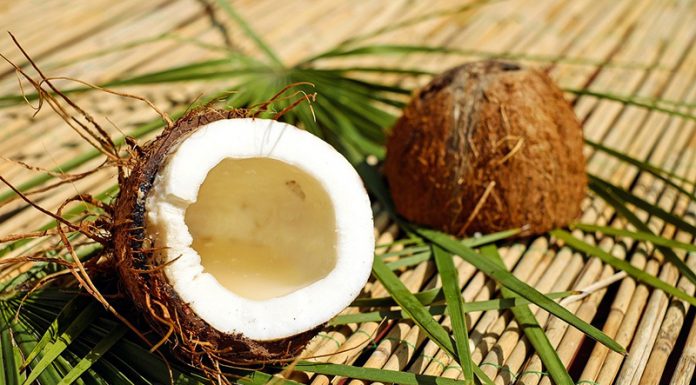 Kokosovo olje: je pridelava še bolj okolju škodljiva kot pridelava palmovega?