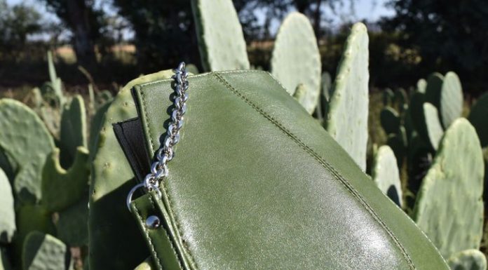 Bo vegansko usnje iz kaktusa rešilo na tisoče živali?