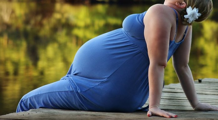 Raziskava: debelost nosečnice vpliva na razvoj možganov zarodka