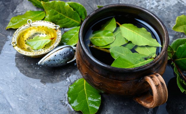 Neverjetne zdravilne lastnosti lovorjevega lista