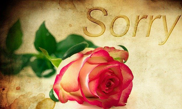 Se znate opravičiti? 6 ključnih elementov ustreznega (in učinkovitega) opravičila Rose Background Excuse Me Red Rose - kalhh / Pixabay