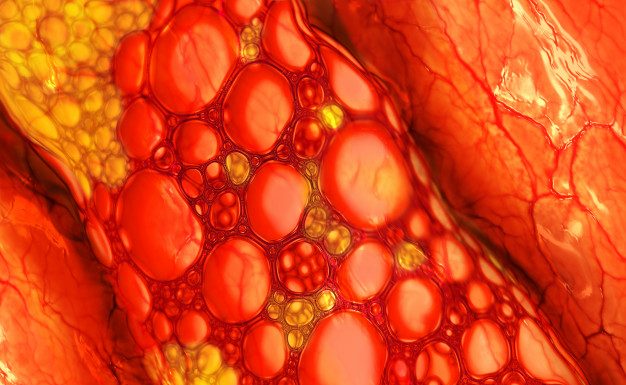 6 znakov, da imate obloge v arterijah