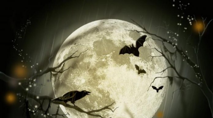 Polna Luna na noč čarovnic, 31. oktobra 2020, je modra Luna