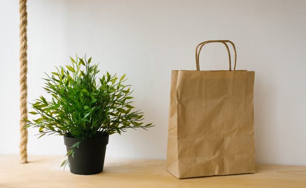 Sobne rastline, ki izboljšujejo spanec