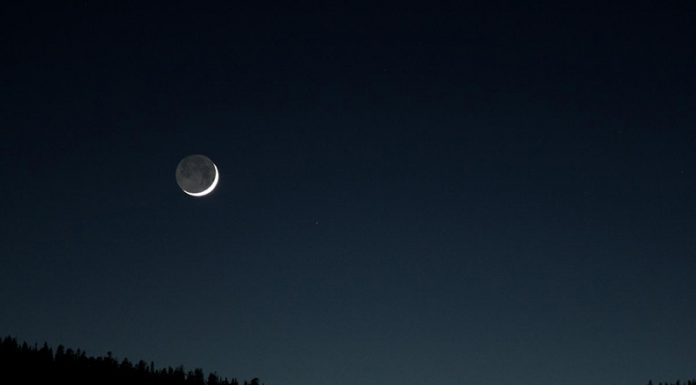 V nedeljo, 15. 11. 2020, je Mlaj v Škorpijonu. Pripravite se na globoka občutja