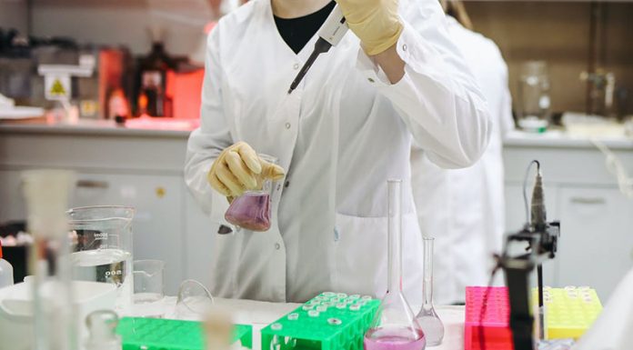 Razkritih 10 usodnih napak znanstvenega članka, ki je podlaga za uporabo PCR testov za covid-19