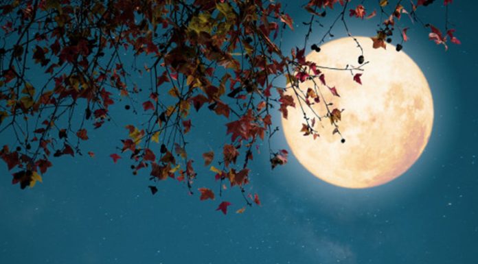 V času decembrske polne lune (30. 12. 2020) vam odsvetujemo tole