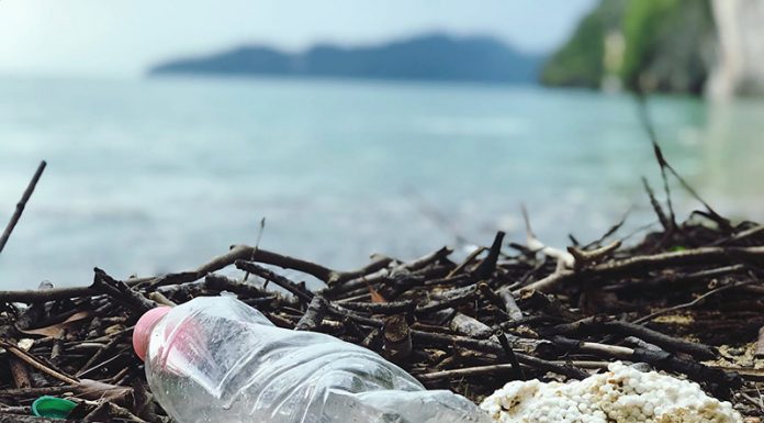 Do leta 2050 bo v oceanih več plastike kot rib – če ne bomo ukrepali!