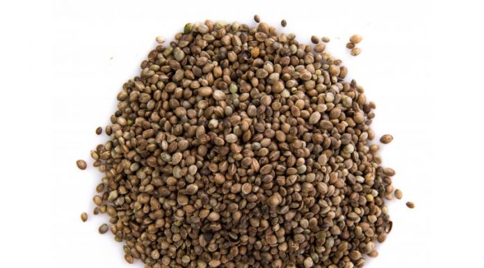 Prednosti uživanja konopljinih semen in nekaj enostavnih načinov uporabe