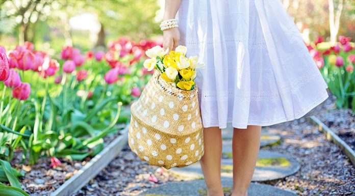 3 spomladanske spremembe za bolj zdrav življenjski slog