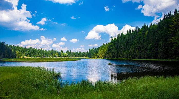 Bomo Slovenci izgubili pravico do voda?