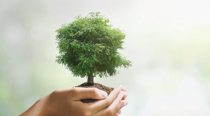 5 preprostih stvari, s katerimi lahko praznujete dan Zemlje