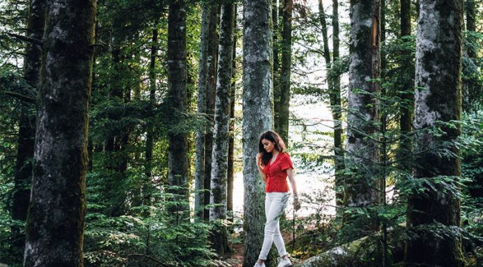 Raziskava je pokazala, da zvoki iz narave odpravljajo bolečine