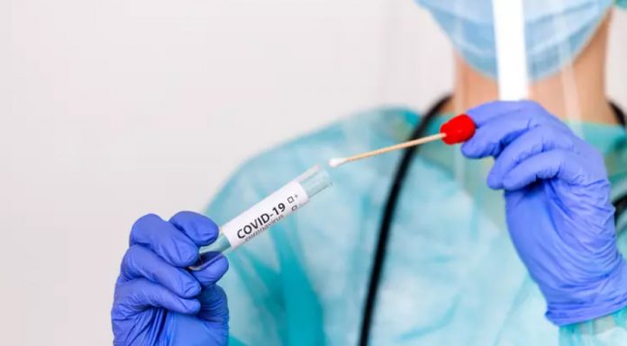 Neodvisni raziskovalci v PCR paličicah odkrili izjemno nevarne substance