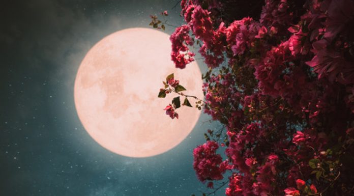 Majska polna luna (26. 05.) prinaša intenzivne spremembe tem horoskopskim znamenjem