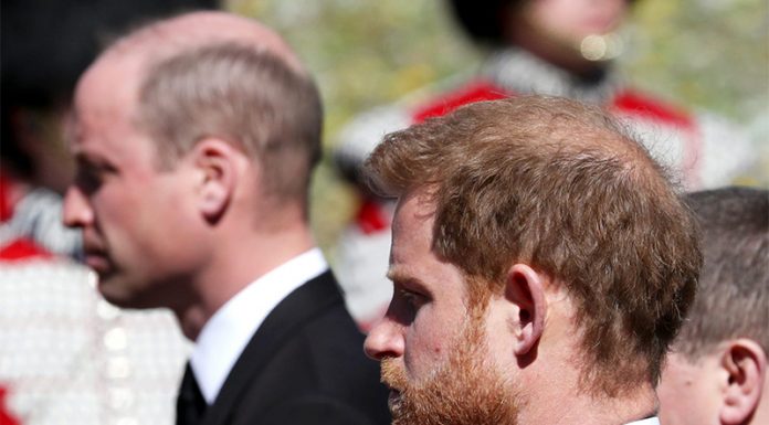 Kraljeva brata sta se na smrt skregala zaradi obtožb Meghan Markle