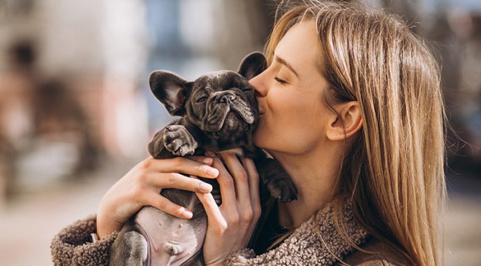Če bi vaš pes lahko govoril, bi vam povedal te stvari