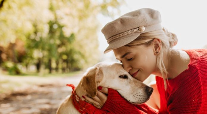 Stvari, o katerih morate biti prepričani, preden nabavite psa