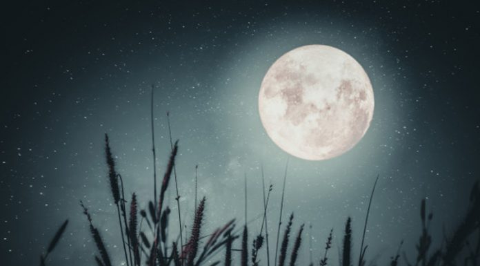 Kaj prinaša jagodna polna luna (24. 06. 2021)?