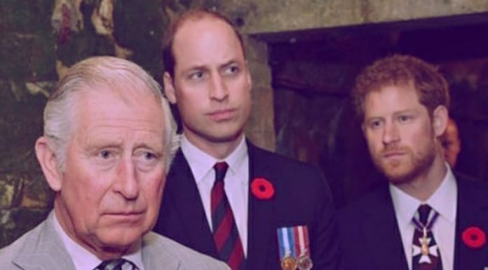 Charlesu je dovolj: Je Princ Harry ostal brez 150 milijonov dolarjev?