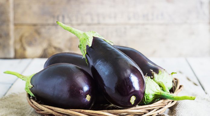 Že poznate te zdravilne lastnosti jajčevcev?