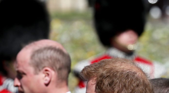 Princ Harry in princ William sta se hudo sprla kar na pogrebu