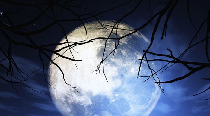 Julijska polna luna (23. 07.) bo najbolj vplivala na te znake zodiaka