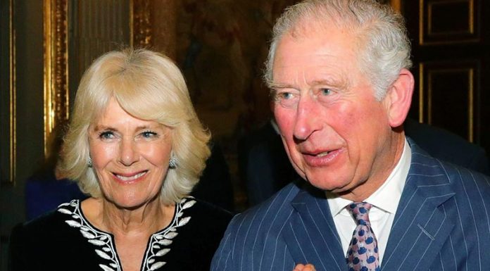 Princ Charles trpi za depresijo. Kriva naj bi bila Meghan in Harry