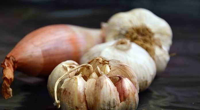 9 učinkovitih domačih zdravil za rane in ureznine