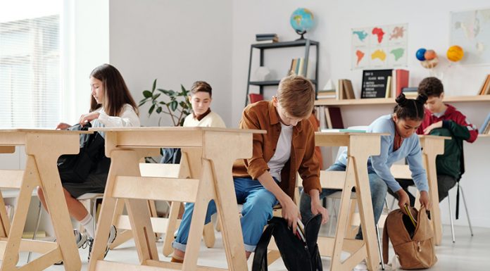 Peticija v podporo ravnatelju Petru Žureju in za normalizacijo šolanja