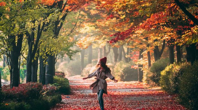 Jesensko enakonočje (22. 9. ob 15:21) je čas za refleksijo in ravnovesje