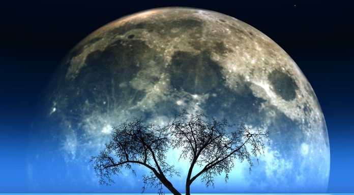 Kaj prinaša mlaj (07. 09.) in koga bo najbolj prizadel?