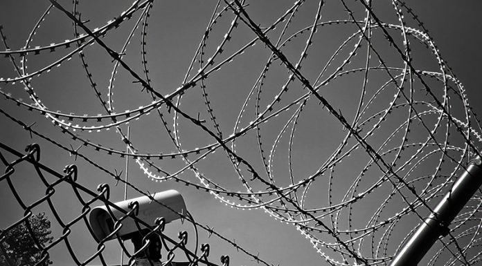 Slovenski zdravniki: komentar predloga novega Zakona o nalezljivih boleznih