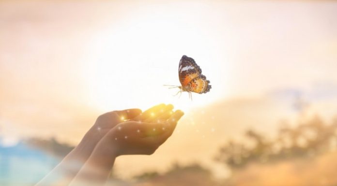 Življenjske lekcije, ki se jih morate naučiti sami