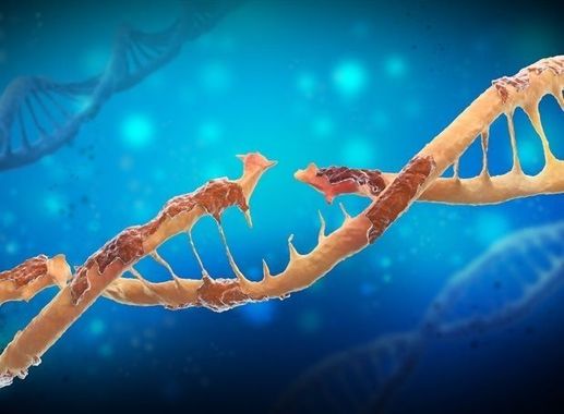 Konični proteini v “cepivih” za Covid-19 onemogočajo popravljanje okvar DNK