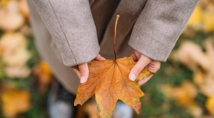 6 zanimivih dejstev o ljudeh, rojenih novembra