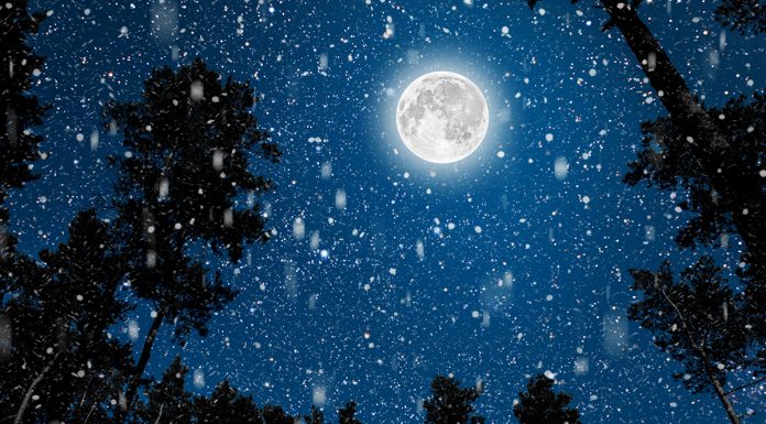 Prvi mlaj v letu 2022 vam bo naklonjen